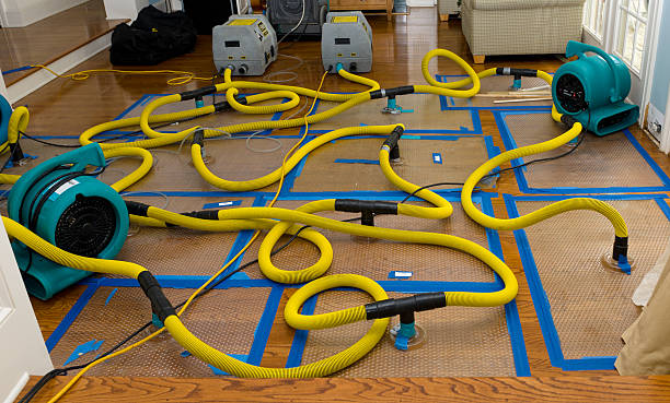 Professional Emergency Water Removal technician working in Cedar Bluff, AL